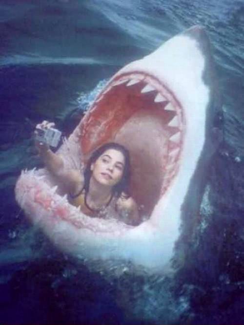 shark selfie privacy in private Facebook groups